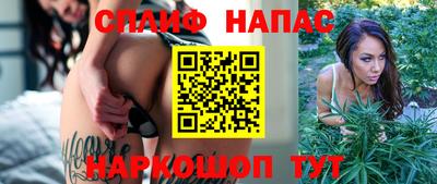 скорость Будённовск