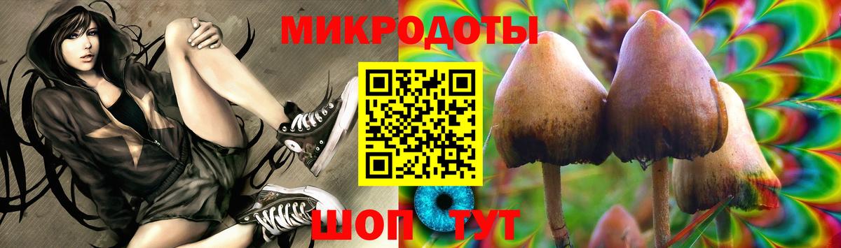 Галлюциногенные грибы GOLDEN TEACHER  Псилоцибиновые грибы Psilocybe  Энгельс  Вход с VPN 