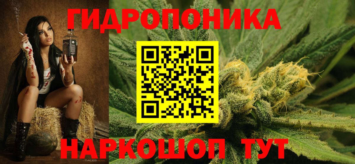 Бошки марихуана сатива  Марихуана Amnesia  Энгельс  Шишки марихуана Amnesia  Вход с VPN 
